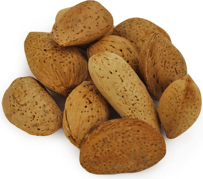 BIO Mandeln in der Schale (ca. 250g)