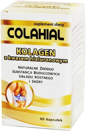 Kollagen mit Hyaluronsäure 60 Kapseln GORVITA - Biogo.de