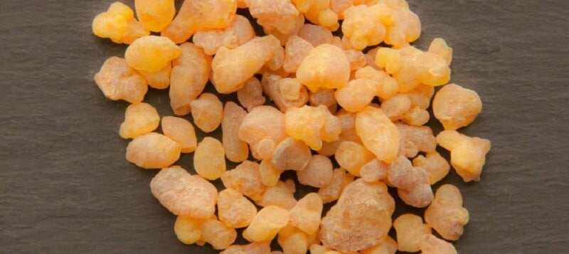 Was ist Boswellia Serrata? Wie funktioniert es und wie kann es helfen?