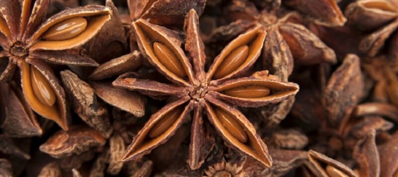 Die Geschichte des Anis - ein Gewürz, das von den alten Griechen, Chinesen, Ägyptern und Inkas geschätzt wurde