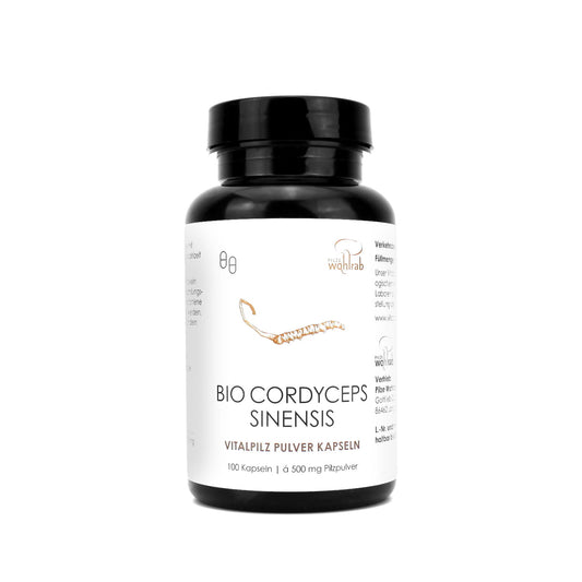 Bio Cordyceps Sinensis Pilz-Kapseln, 100 Stück, von Pilze Wohlrab, zeigt die Verpackung und Kapseln des Nahrungsergänzungsmittels.