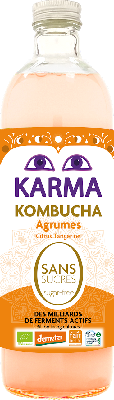Karma Kombucha Zitrus ohne Zucker in 750 ml Flasche, biologisch, erfrischendes probiotisches Getränk, Demeter-Zertifizierung.