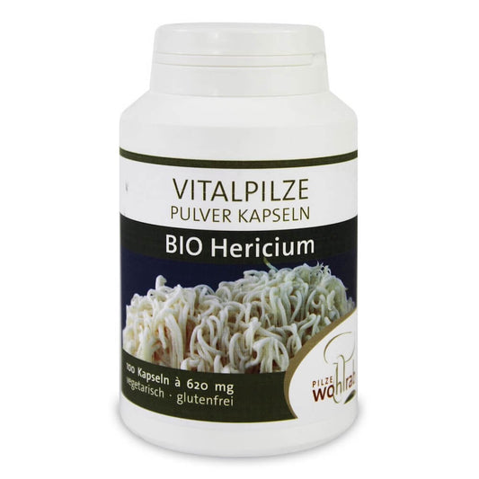 Hericium Pilzpulver glutenfrei BIO, 100 g, von PILZE WOHLRAB, fein gemahlenes Proteinpulver aus hericium Pilzen.