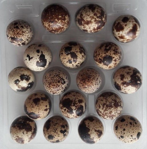 Wachteleier 18 Stk. EKOWITAL Hover Image