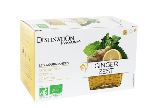 Aufgusstee Ingwer-Zitrone von DESTINATION, 20 Teebeutel à 1,5g, biologisch und aromatisch für gesunden Genuss.