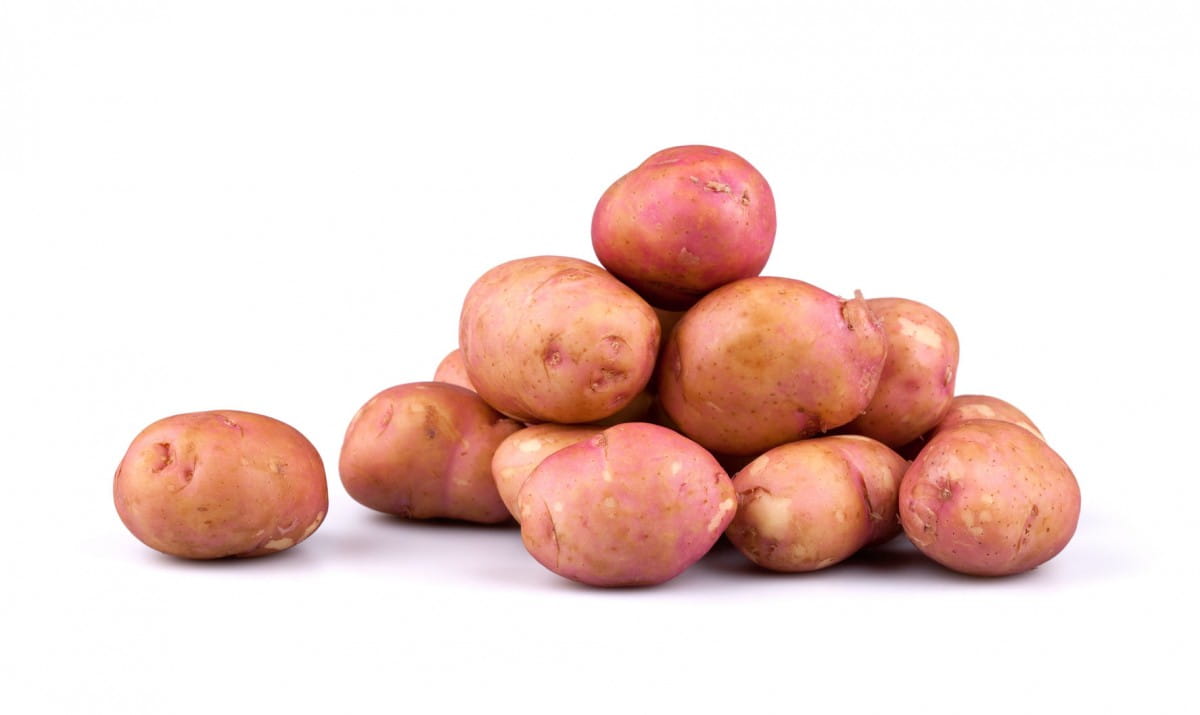 Großverpackung (kg) - frische rote Kartoffeln, frisch BIO (polnisch) (ca. 10 kg)