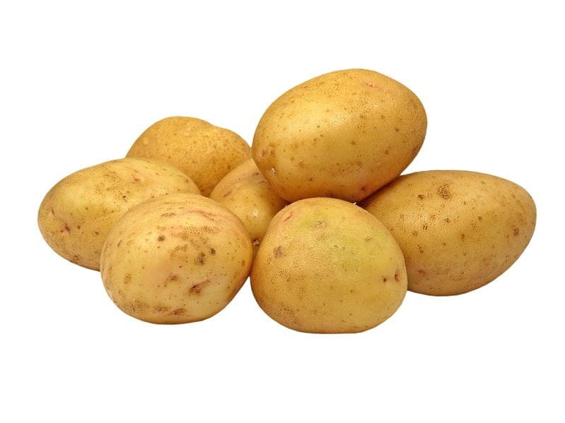 Großverpackung (kg) - gelbe Kartoffeln, jung, frisch BIO (polnisch) (ca. 10 kg)
