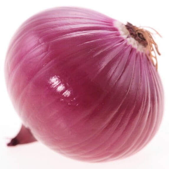 Frische rote Zwiebel BIO (ca. 1 kg) Image principale du produit