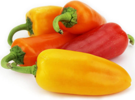 Frischer BIO PLANET Paprika Snack-Mix, ca. 0,50 kg, bunter Snack-Mix aus verschiedenen roten, grünen und gelben Paprika.