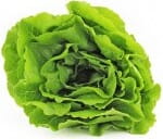 Frischer Bio-Römersalat von BIO PLANET, ca. 200g, grüne Blätter, ideal für Salate und gesunde Mahlzeiten