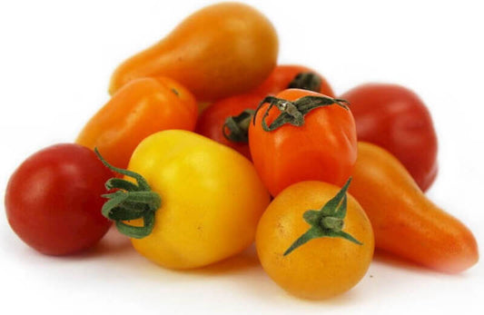 Frische Bio-Tomatenmischung von BIO PLANET, bunt und saftig, ca. 0,25 kg für köstliche Cocktails oder Salate.