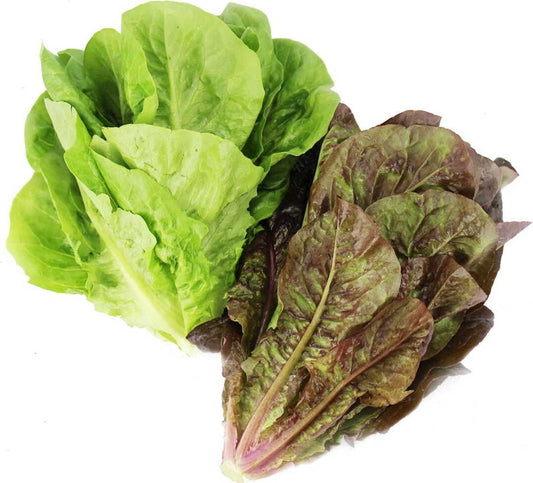 Frischer BIO PLANET Römersalat in 100 g Packung, grüne Blätter, bio, polnisch, ideal für Salate und gesunde Mahlzeiten.