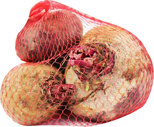 Frische Bio-Rote Beete ca. 1 kg von BIO PLANET, rote Wurzeln mit grünen Blättern, auf einem Holztisch präsentiert.