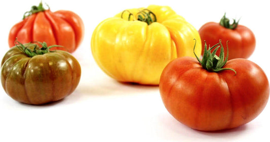 Frische Bio-Tomatenmischung in Großgebinde (ca. 3 kg) von BIO PLANET, mit roten und grünen Tomaten auf dem Bild