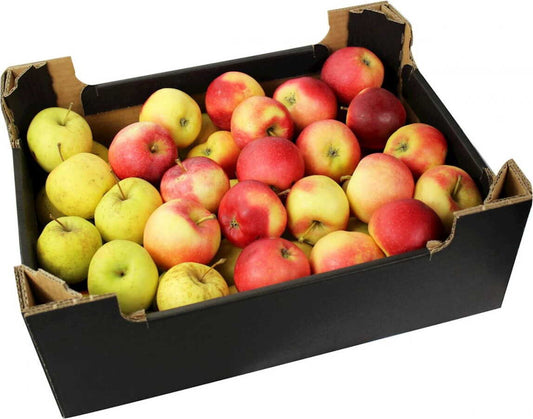 Frische BIO Äpfel für Saft, polnisch, von BIO PLANET, ca. 500 kg, auf einem Obstladen-Tisch sichtbar
