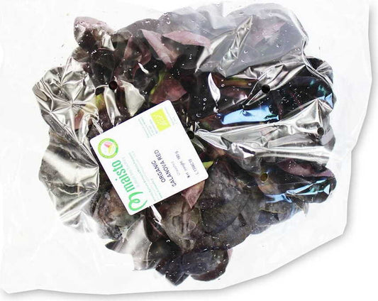 Frischer roter Bio-Salat von BIO PLANET, ca. 180g, mit grünen Blättern und rotem Blütenansatz, auf weißem Hintergrund.
