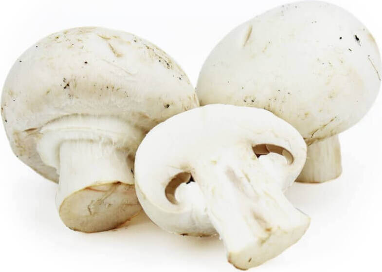 Frische weiße Champignons BIO (polnisch) (ca. 250g) Κύρια εικόνα προϊόντος