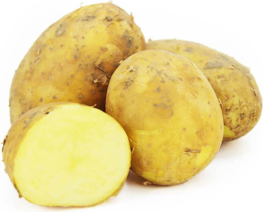 Frische gelbe Bio-Kartoffeln von BIO PLANET, ca. 1 kg, sichtbar in der Abbildung, natürliche und gesunde Kartoffelqualität