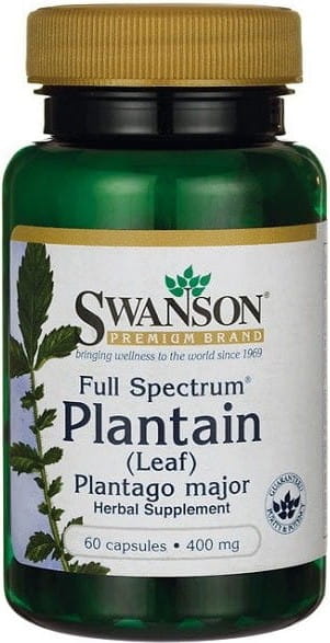 Wegerich FS Wegerichblatt 400 mg 60 Kapseln SWANSON Hover Image