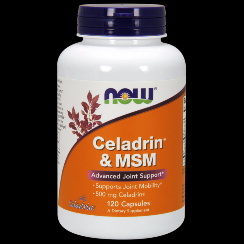 Celadrin 500 MG und MSM 100 MG 120 Kapseln NOW FOODS