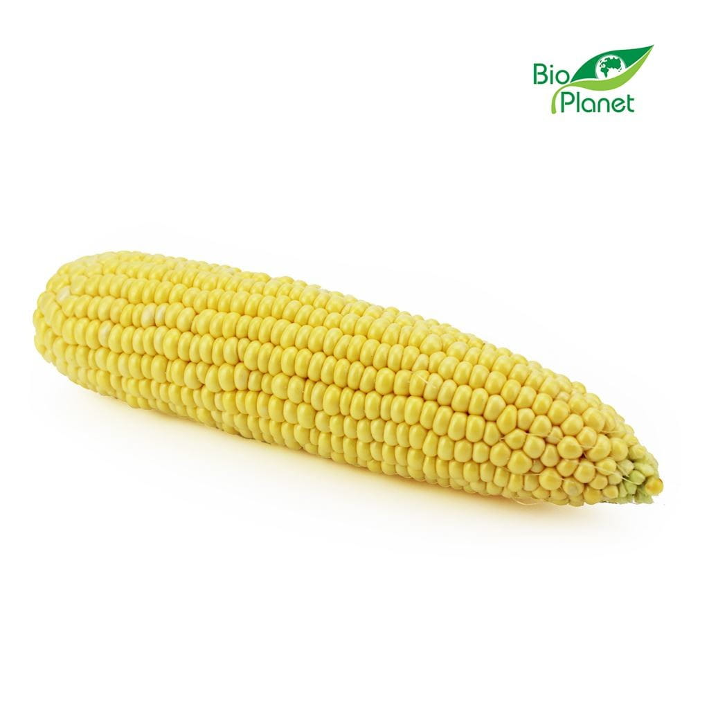 Organic fresh corn (approx. 300 g)