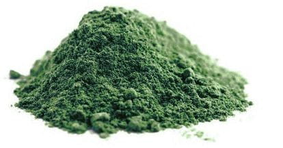 Spirulina-Algenpulver BIO (Rohstoff) (25 kg)